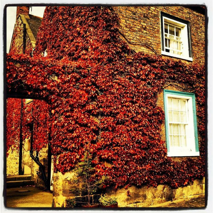 Blue Bell Hotel Belford Buitenkant foto